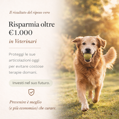 Cuccia Ortopedica a Sostegno Attivo