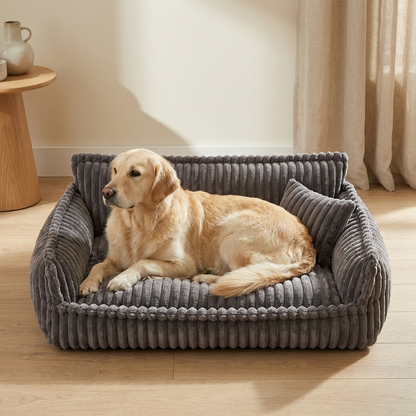 Divanetto reale per cani