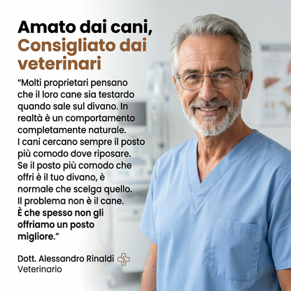 Divanetto reale per cani