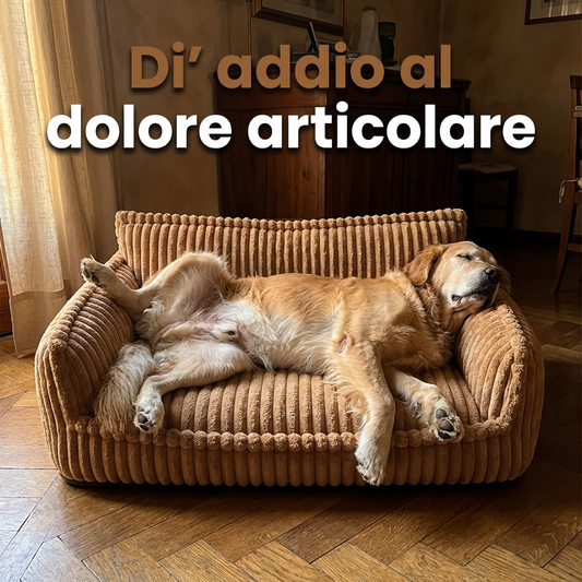 Cuccia Ortopedica a Sostegno Attivo