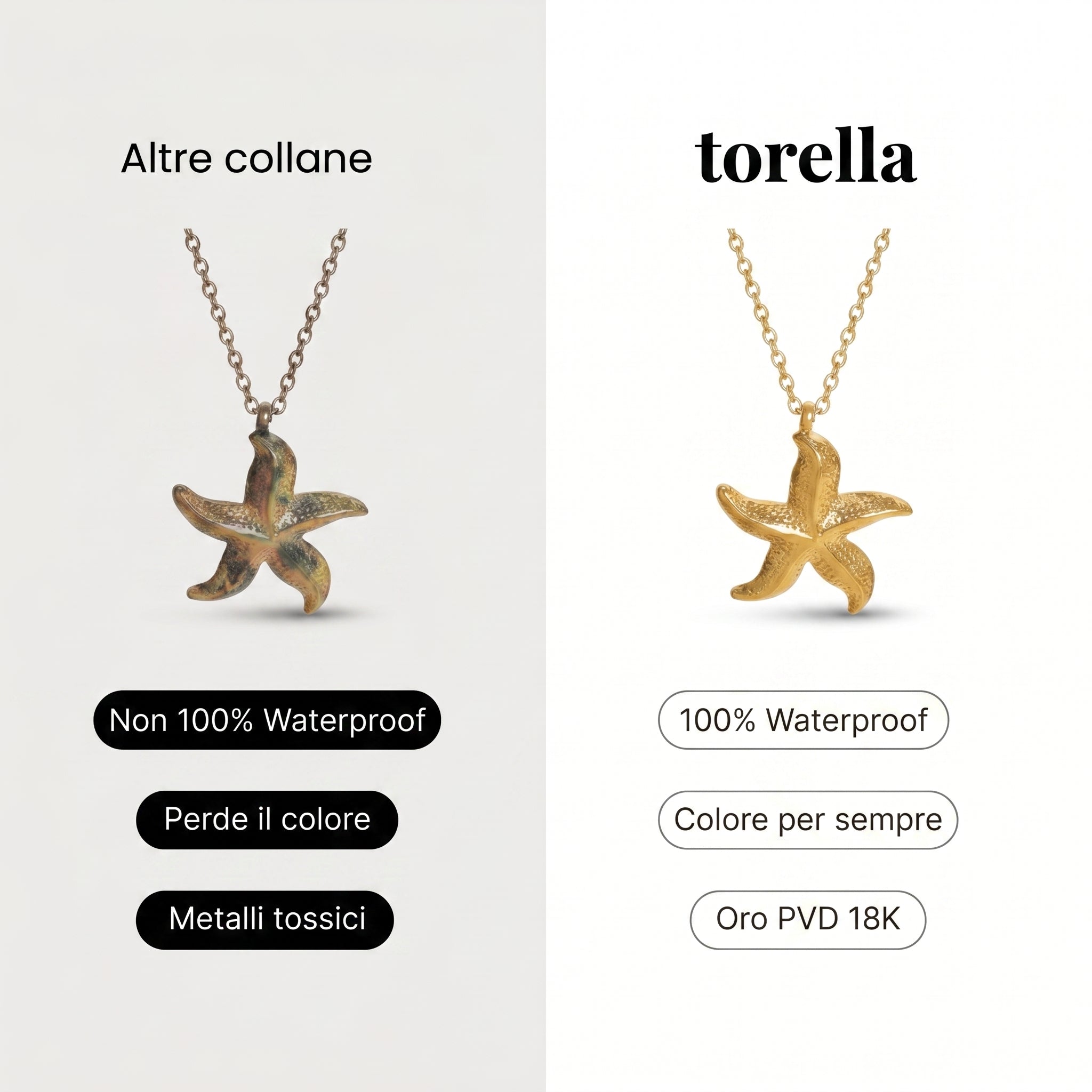 Collar Starfish