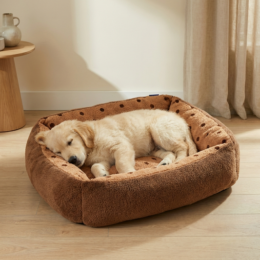 Cuccia Plush Invernale Cozy